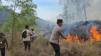Hutan konservasi Kintamani terbakar 
