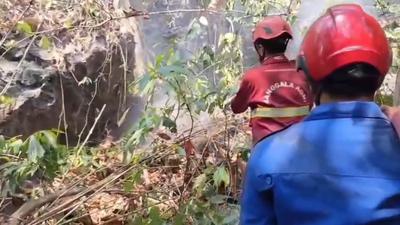 PPATK Lacak Jejak Uang di Balik Karhutla, Begini Pola yang Diungkap