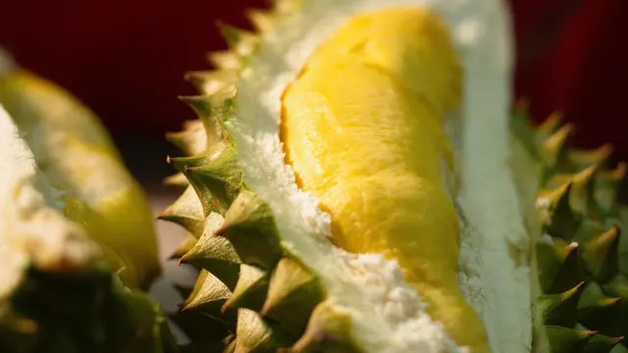 Durian untuk Penderita Diabetes, Manfaat dan Cara Aman Menikmatinya