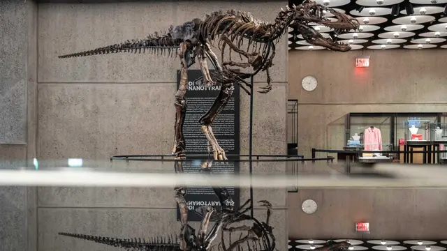 Fosil Nanotyrannus di Lobi Sotheby's (AP/Yuki Iwamura)