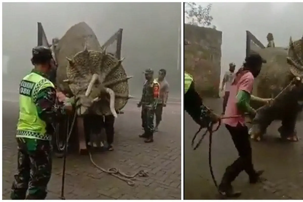 Heboh Video Dinosaurus Triceratops Muncul di Magetan, Ini Fakta Dibaliknya