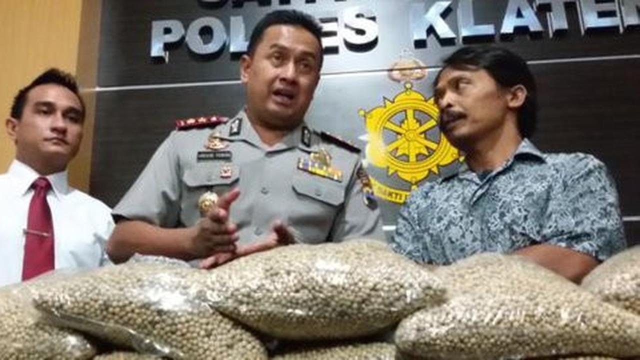Manyul, penjual merica di Klaten tak tahu barang dagangannya palsu