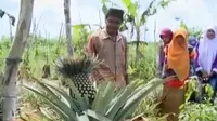 VIDEO: Petani Ini Ciptakan Jenis Tanaman Unggul