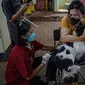 Warga memegang anjing peliharaannya saat disuntik vaksin rabies di kantor kelurahan Petukangan Selatan, Jakarta, Rabu (15/9/2021). Dinas Ketahanan Pangan dan Pertanian memberikan vaksinasi rabies bagi hewan peliharaan milik warga untuk mengantisipasi penyakit rabies. (Liputan6.com/Faizal Fanani)