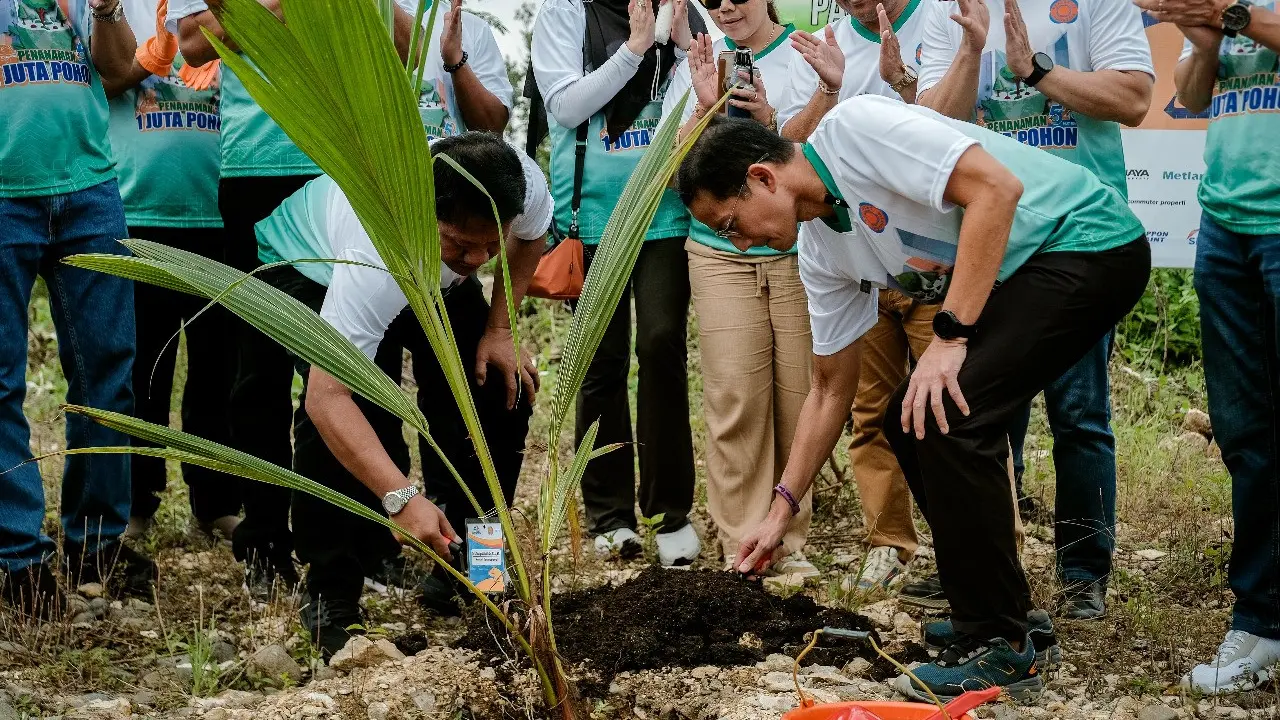 Program Penanaman Sejuta Pohon di Labuan Bajo demi Wujudkan Pariwisata Hijau
