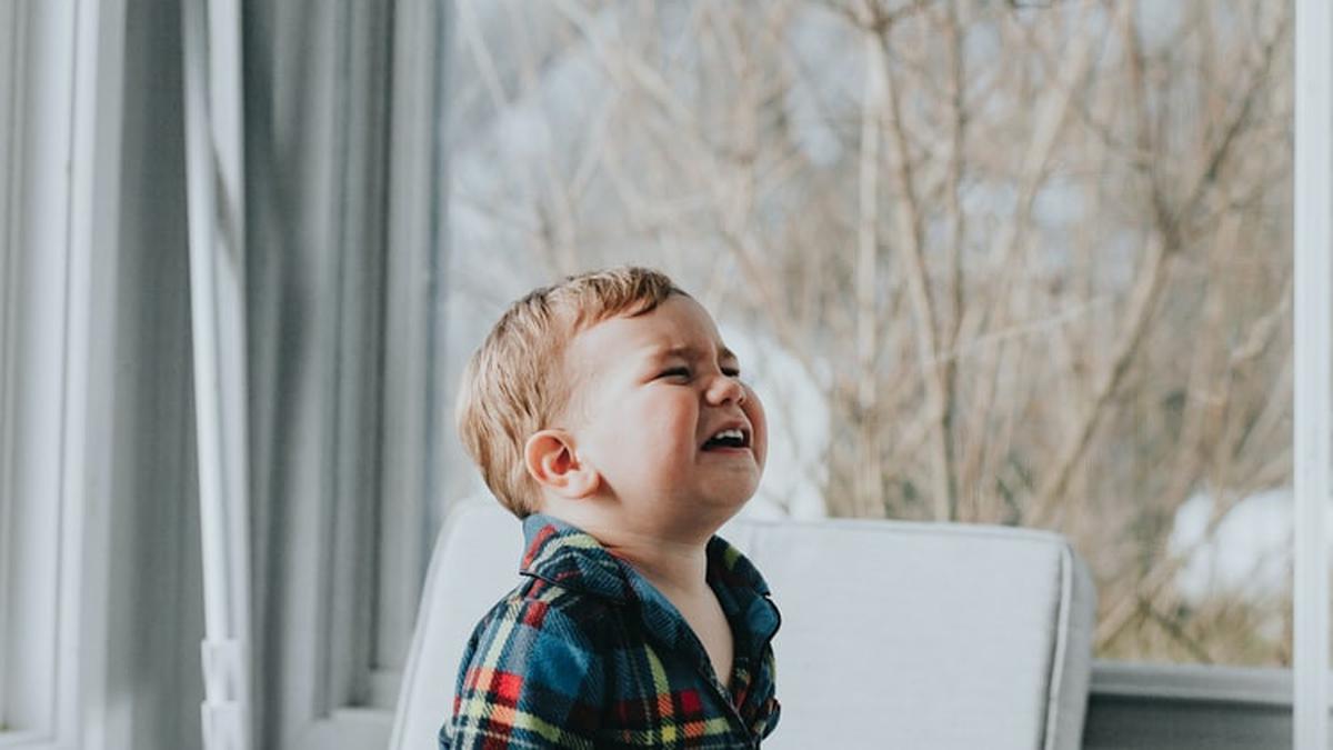 kenali-apa-itu-terrible-two-dan-kapan-itu-dimulai-pada-anak-parenting