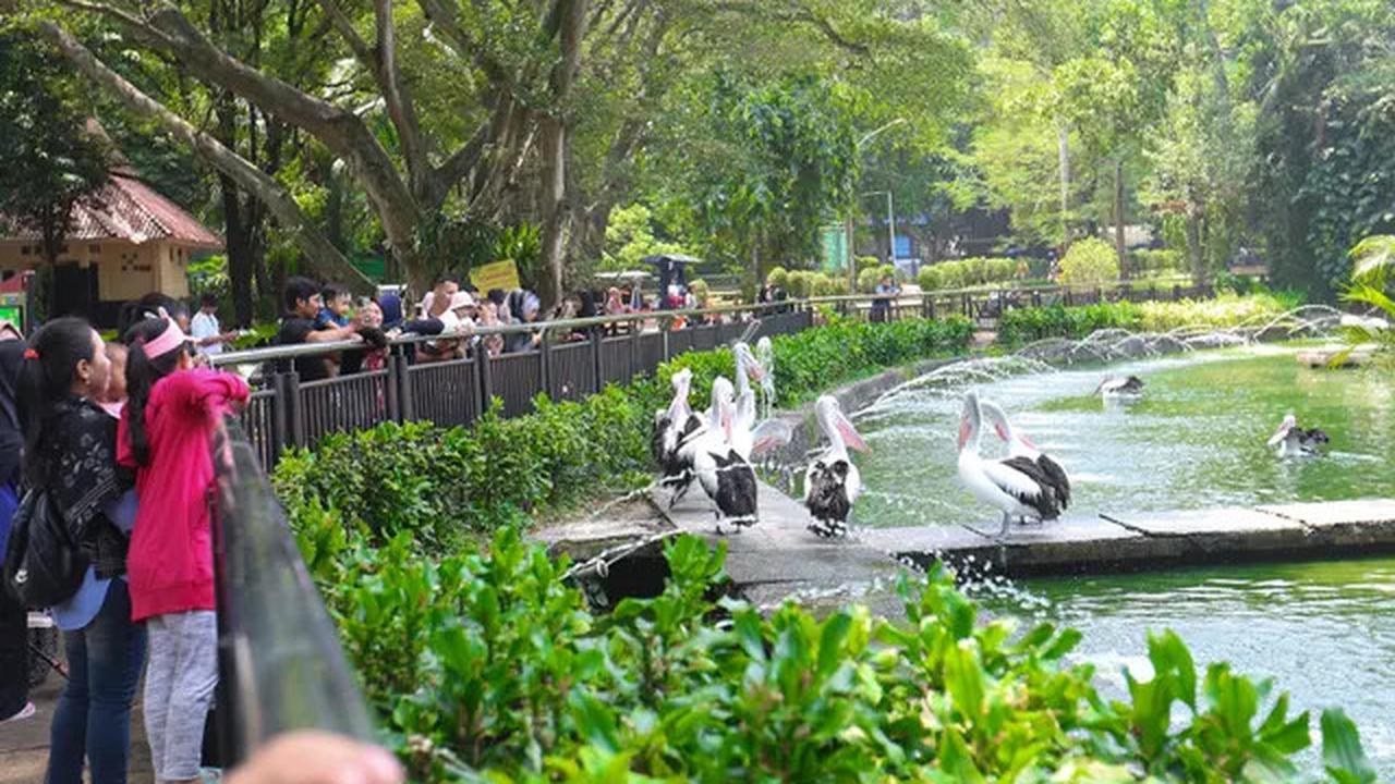 Harga Tiket Masuk Taman Margasatwa Ragunan, Buka Malam Hari Mulai Sabtu 11 Oktober 2025