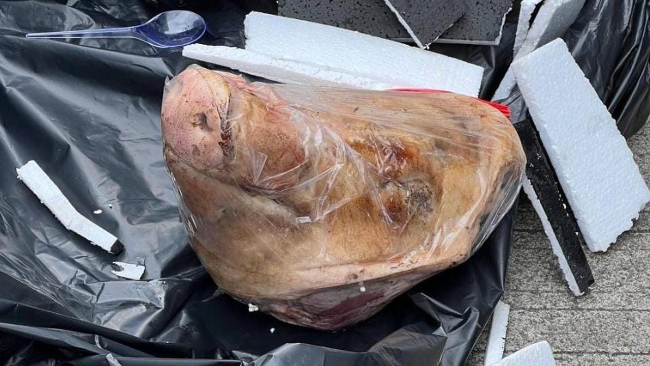 Kiriman Kepala Babi dan Bangkai Tikus ke Tempo, Harusnya Negara Tersinggung dan Marah Soal Ini