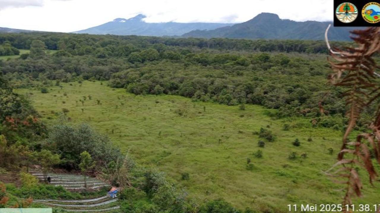 BBTNKS Buka Suara soal Kabar Penemuan Ladang Ganja di Gunung Kerinci