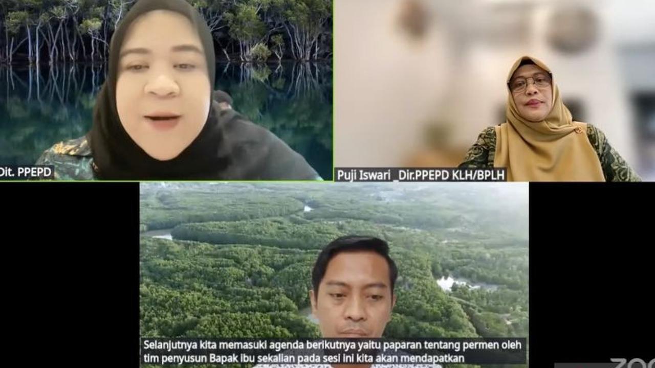 KLH Rencanakan 11 Kesatuan Lanskap Mangrove, Perkuat Pengelolaan Ekosistem Mangrove Nasional