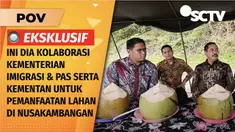 Video Kementan dan Kementerian Imingrasi-PAS Kolaborasi Manfaatkan Lahan di Nusakambangan | POV 17 Nov 2024