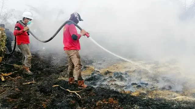 Petugas memadamkan kebakaran hutan dan lahan (karhutla) di Riau.