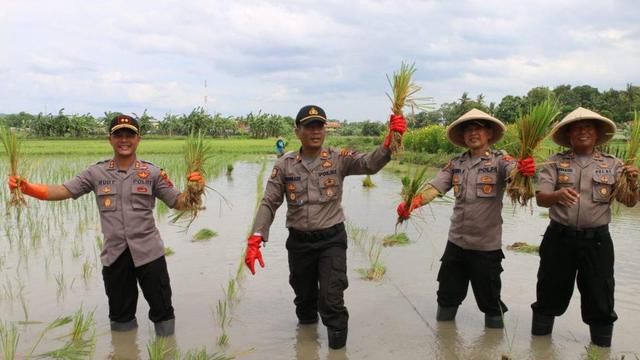 Bersama Masyarakat, Polri Wujudkan Program Ketahanan Pangan di tengah Pandemi Covid-19