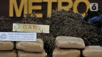 Barang bukti ganja saat rilis pengungkapan narkoba di Mapolda Metro Jaya, Jakarta, Rabu (22/1/2020). Polisi mengungkap kasus penyalagunaan narkoba jenis ganja sepanjang dua bulan terakhir di wilayah Jakarta, Bekasi, Depok, dan 5 hektare ladang ganja di Mandailing Natal. (merdeka.com/Iqbal Nugroho)