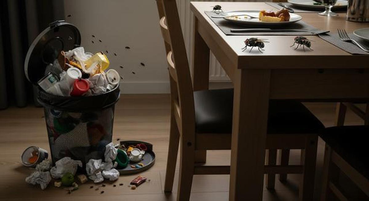 Kenapa Lalat Sering Muncul di Meja Makan? Ini 7 Penyebabnya yang Jarang Disadari