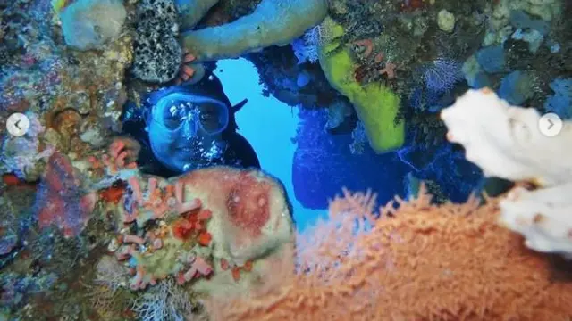 Taman Nasional Bunaken