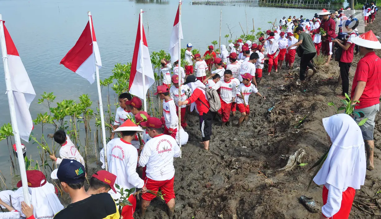 Sejumlah siswa SD Nasima Semarang menanam pohon mangrove di Teluk Pantai Mangunharjo, Mangkang, Tugu, Jumat (18/1). Data Kementerian Kehutanan, sekitar 60 persen kondisi hutan mangrove di pantai utara Pulau Jawa dalam keadaan rusak. (Liputan6.com/Gholib)