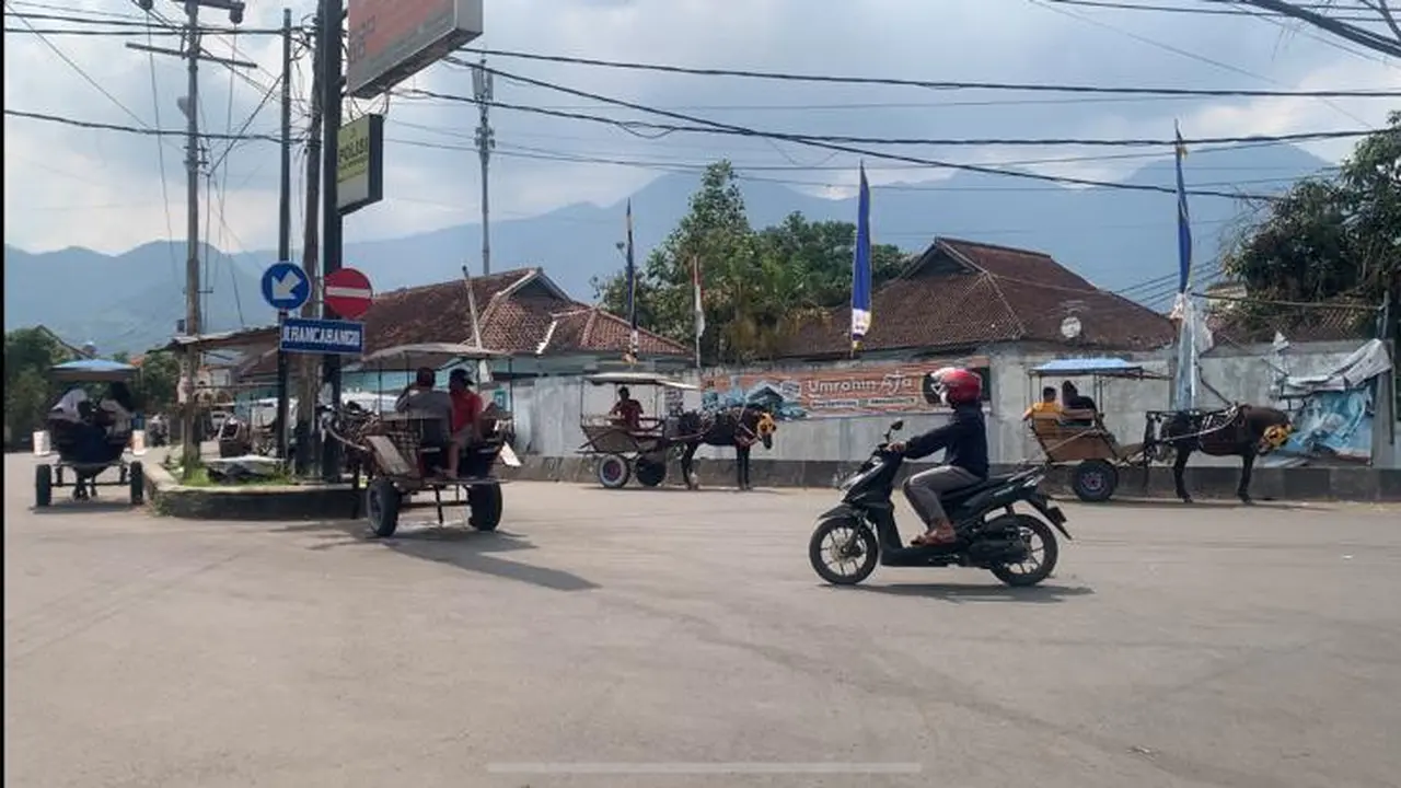 Puluhan delman yang beroperasi di jalur mudik Nasional via Garut, Jawa Barat, bakal mendapatkan kondensasi sebesar Rp 100 ribu per hari dari Pemerintah Daerah (Pemda) Garut selama mudik lebaran. (Liputan6.com/Jayadi Supriadin)