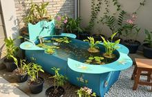 8 Desain Kolam Ikan Pakai Drum Bekas, Sederhana Tapi Unik