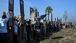 Bangau Sarus Timur yang terbang menjauh setelah dilepasliarkan di waduk Huai Chorakhe Mak, Buriram, Thailand, Minggu (25/12/2022). Hal ini merupakan upaya terbaru untuk menghidupkan kembali spesies berbulu tersebut. (Lillian SUWANRUMPHA / AFP)