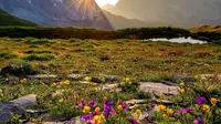 69 Morning Motivational Quotes for Success: Kick Off Your Start Day