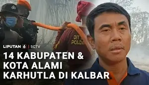 14 Kabupaten dan Kota Alami Karhutla di Kalbar
