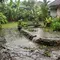 Kolam Ikan di Pekarangan Sering Meluap? Begini Cara Membuat Saluran Pembuangan yang Praktis