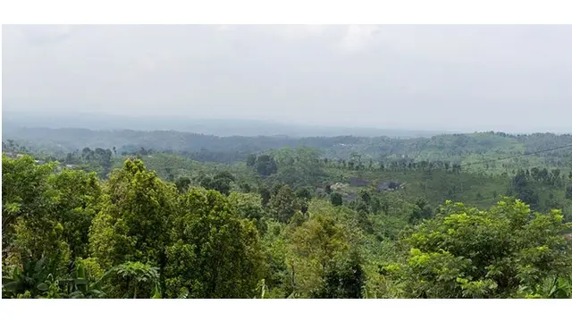 Puncak Rembangan, Jember
