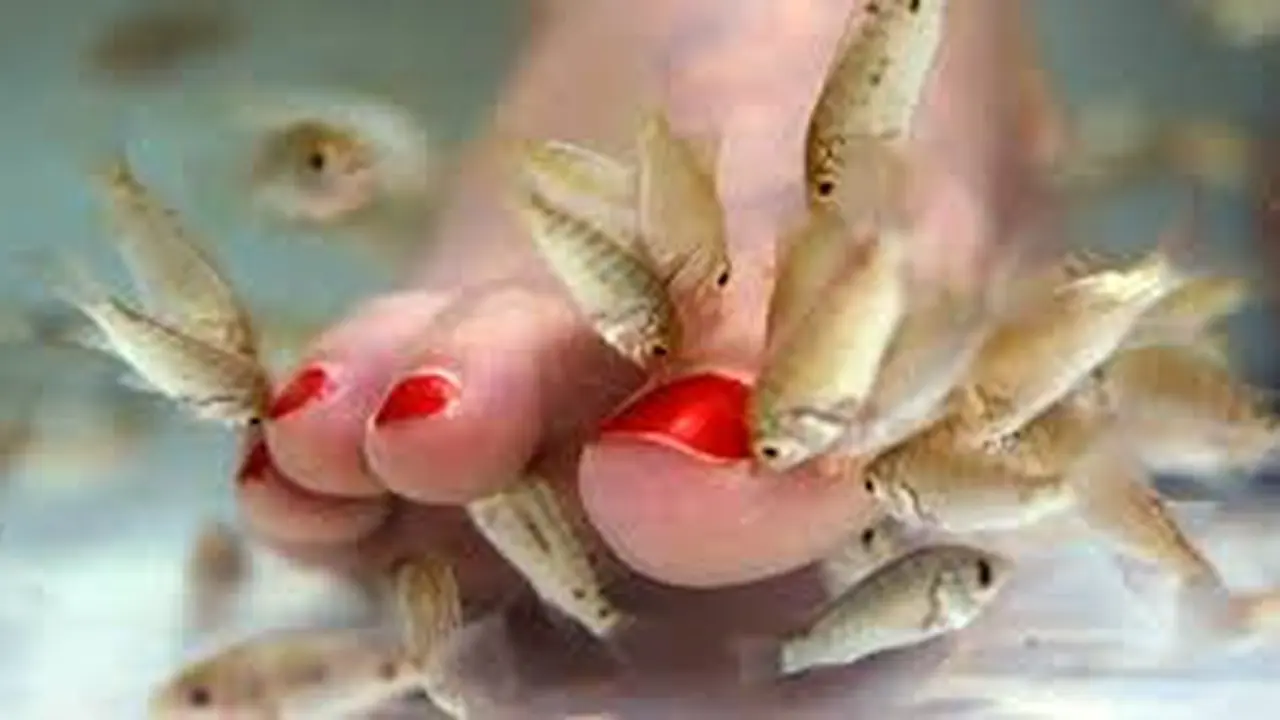 Jari Kaki Wanita ini Diamputasi Setelah Terinfeksi Bakteri dari Spa Ikan