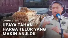 Merespons gejolak anjloknya produk unggas, Kementerian Pertanian menetapkan harga acuan telur ayam sebesar Rp24.000 per kilogram.