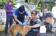 Tahukah Anda? Temanggung Masih Bebas Rabies! DKP3 Gelar Vaksinasi Rabies Gratis 2025 untuk Ratusan Hewan Peliharaan