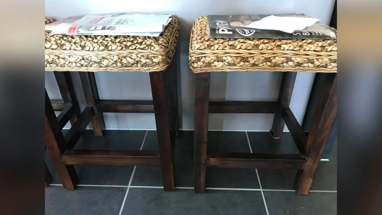 Dapatkah Anda menemukan ular pada dua kursi ini? (Facebook/Sunshine Coast Snake Catchers)