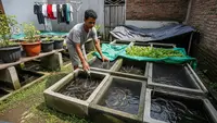 Ide Usaha Ternak Belut panen 3 Bulan untuk Anak Muda di Lahan Sempit & Modal Minim