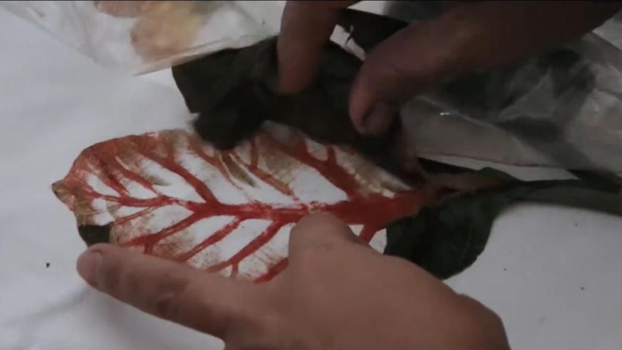 Warna Tak Mudah Pudar