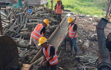 Indonesia Siap Jadi Pemimpin Pasar Biomassa Dunia, Punya Potensi 130 Juta Ton per Tahun