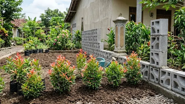 Tanaman Hias yang Semakin Cantik Jika Ditanam Berdampingan