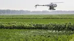 Foto pada 19 Juni 2020 menunjukkan drone yang menyemprotkan pestisida di atas hamparan sawah di Kota Yingkou, Provinsi Liaoning, China timur laut. Sejumlah drone digunakan untuk menyemprotkan pestisida dalam pengelolaan sawah guna meningkatkan efisiensi di Yingkou. (Xinhua/Pan Yulong)