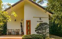 Ide Desain Rumah Minimalis 3 Kamar untuk Jadi Hunian Idaman yang Nyaman dan Elegan