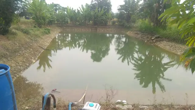 Tingkatkan Kesejahteraan Petani