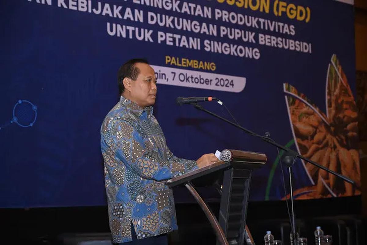 Singkong Diusulkan Masuk Penerima Pupuk Subsidi, Apa Pentingnya?