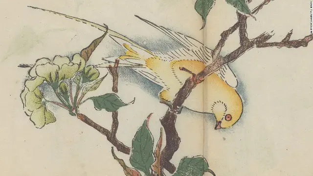 Gambar-gambar Cantik Buku Ilustrasi Berwarna Pertama di Dunia