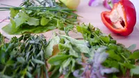 Guru Besar Bioteknologi Ungkap Potensi Besar Herbal Indonesia di Mata Dunia