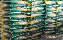 Tahukah Anda? Stok Beras Babel Aman Hingga Berbulan-bulan ke Depan, Harga Tetap Stabil!