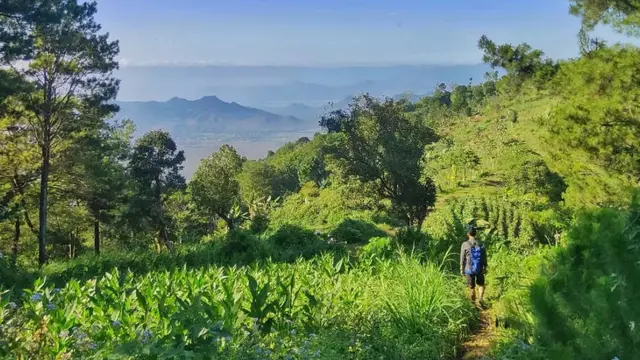 Pemandangan di Gunung Blego yang ada di Magetan