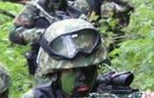 Kontak Senjata dengan TNI-Polri di Pegunungan Bintang, Empat Anggota KKB Tewas