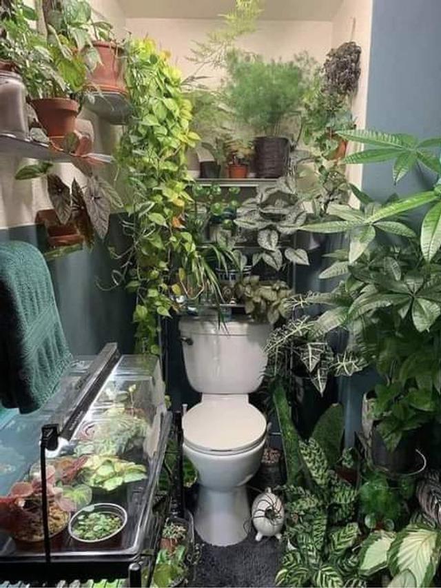 7 Bentuk Barang Kamar Mandi Ini Unik tapi Nyeleneh, Bikin Geleng Kepala