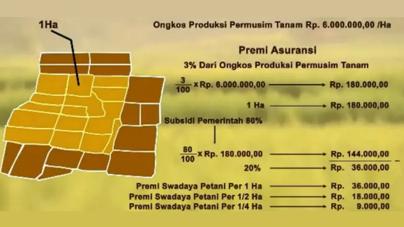 Asuransi Usaha Tani Padi (AUTP)