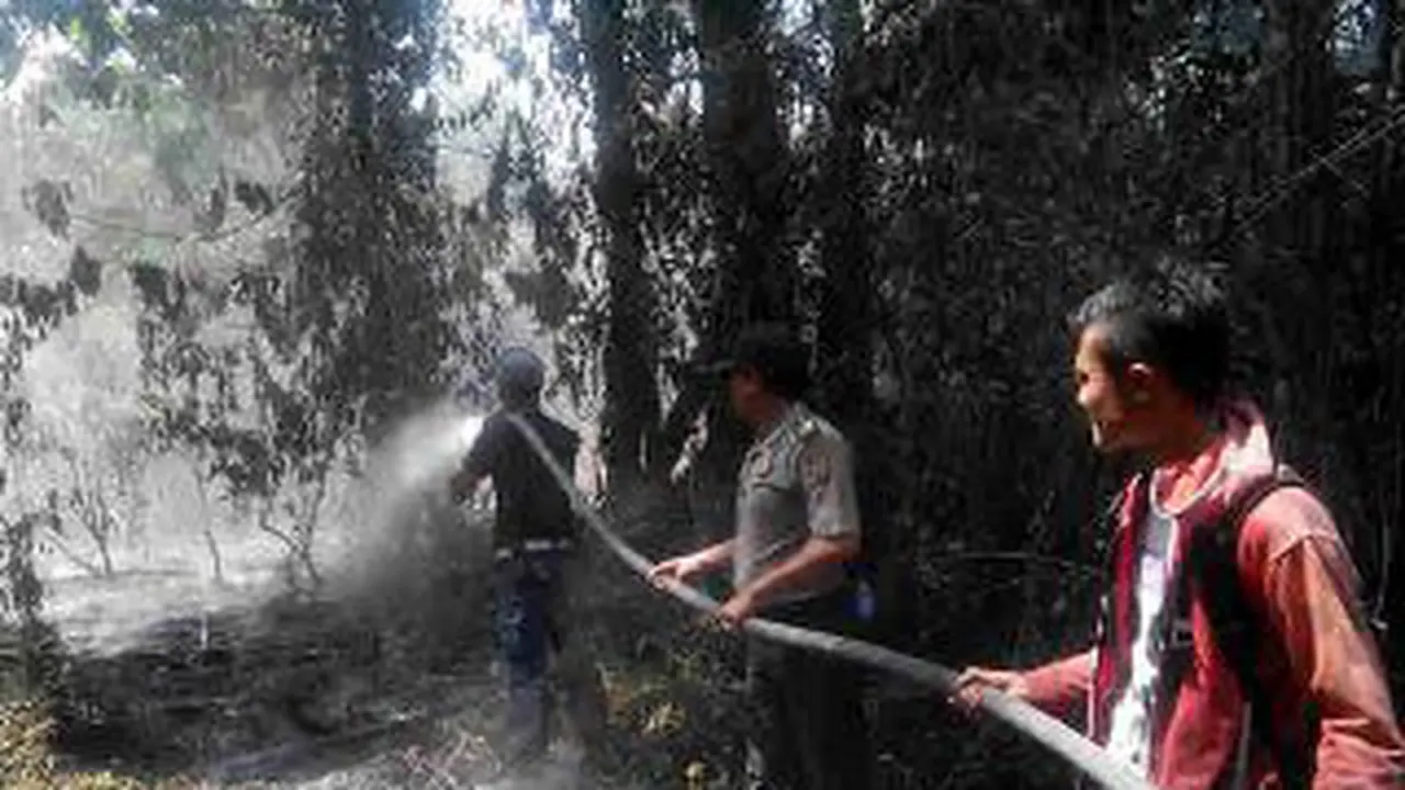 Kebakaran lahan dan hutan