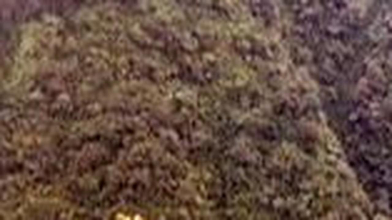 Sisi Menarik Bukit Turgo Pakem, Wisata Alam di Sleman yang Sarat Nilai Sejarah dan Pengetahuan