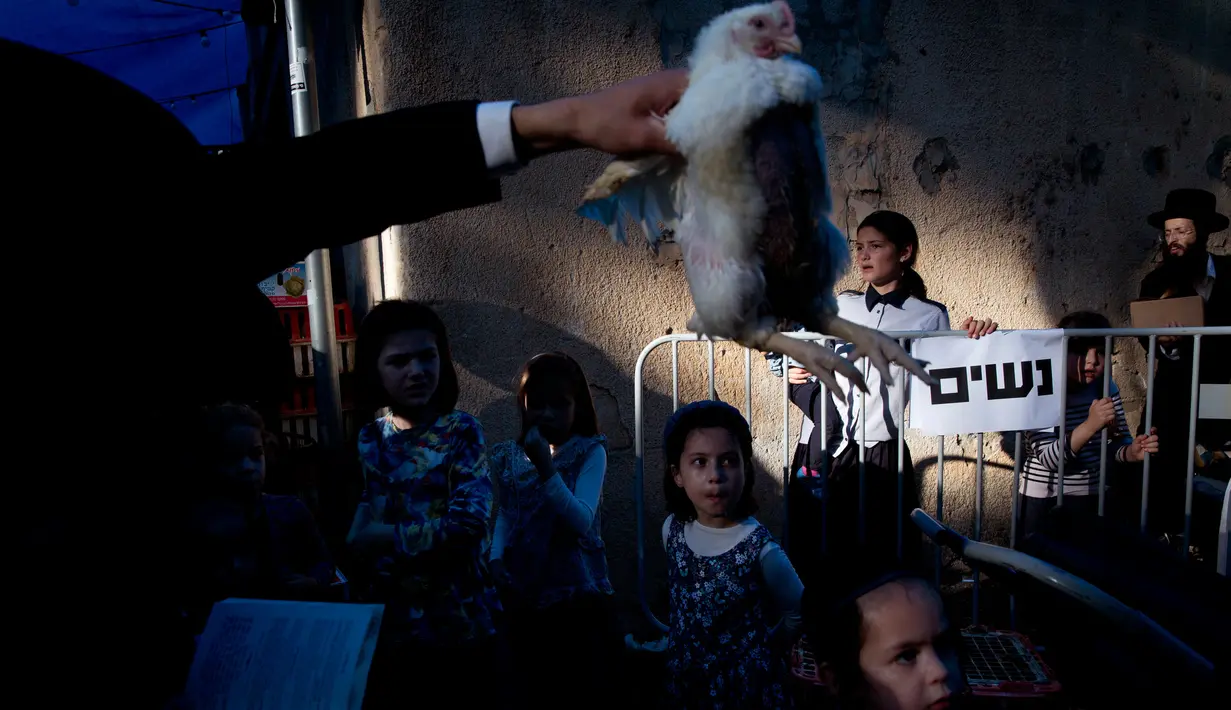 Pria Yahudi ultra-Ortodoks mengayunkan ayam memutari kepala anak-anak dalam ritual Kaparot di Bnei Brak, Israel, Minggu (16/9). Tradisi yang dimulai 800 tahun lalu itu digelar sebelum Yom Kippur atau Hari Penebusan pada Selasa esok. (AP/Oded Balilty)